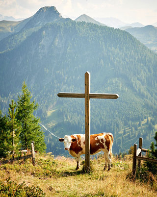 Austria, Salzburger Almenweg

GEO Saison Magazine